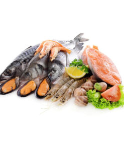 Fresh Seafood